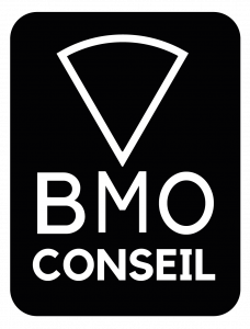 Logo BMO Conseil, Réparation Web dépannage WordPress